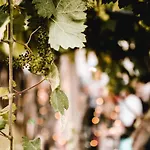 Vina Kobal, Kobal Family Estate *