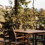 Vina Kobal, Kobal Family Estate