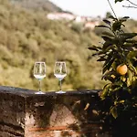 Lejlighed Vina Kobal, Kobal Family Estate Štanjel