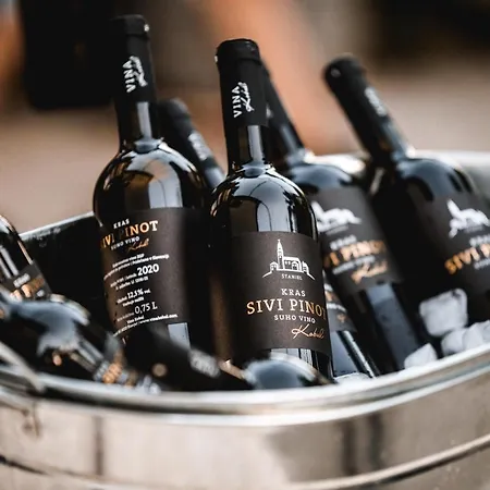 Vina Kobal, Kobal Family Estate Apartment Štanjel