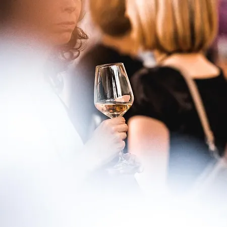 Apartment Vina Kobal, Kobal Family Estate *