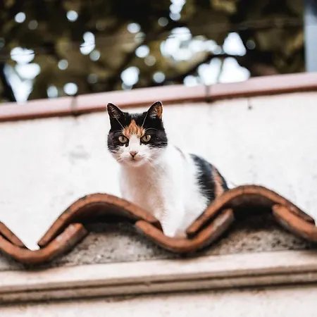 Apartment Vina Kobal, Kobal Family Estate