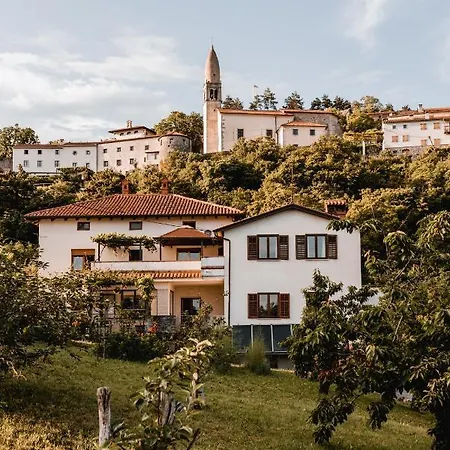 Vina Kobal, Kobal Family Estate * Štanjel