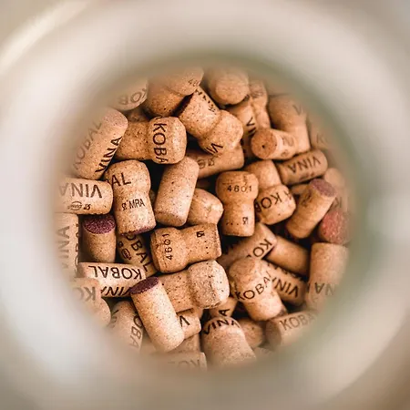 Lejlighed Vina Kobal, Kobal Family Estate Štanjel