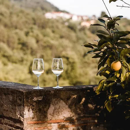 Apartmán Vina Kobal, Kobal Family Estate Štanjel