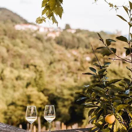 Vina Kobal, Kobal Family Estate * Štanjel