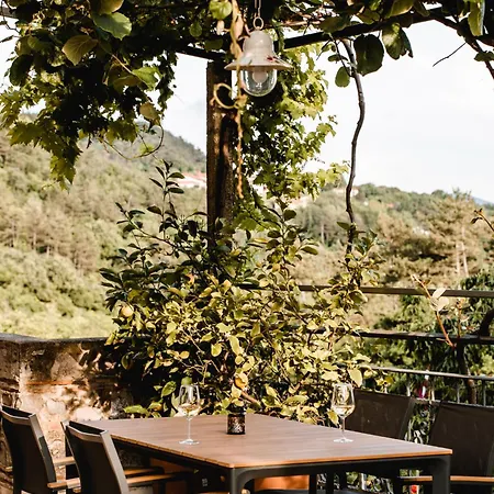 Vina Kobal, Kobal Family Estate