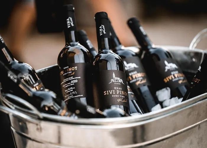 Vina Kobal, Kobal Family Estate アパート Štanjel