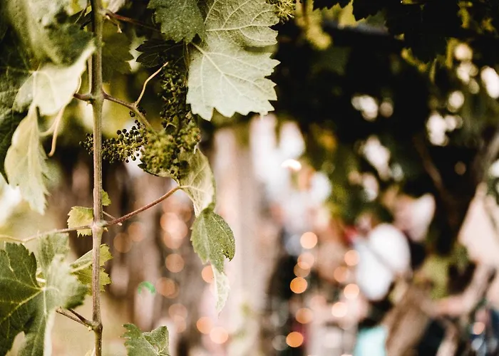 Vina Kobal, Kobal Family Estate *