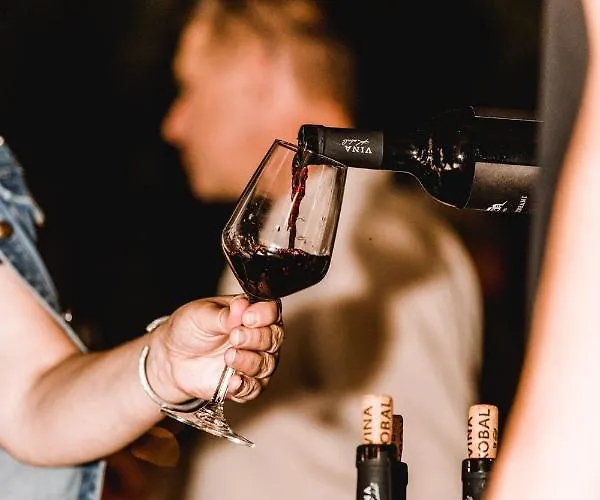 Vina Kobal, Kobal Family Estate Apartament