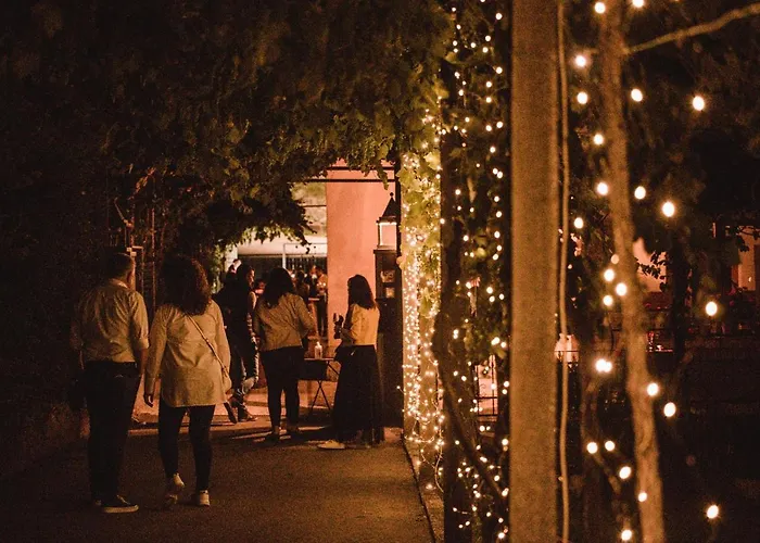 Vina Kobal, Kobal Family Estate Štanjel