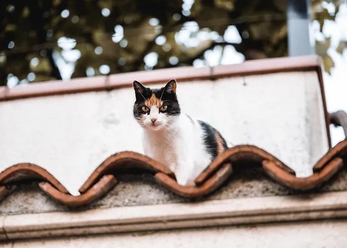 Apartament Vina Kobal, Kobal Family Estate