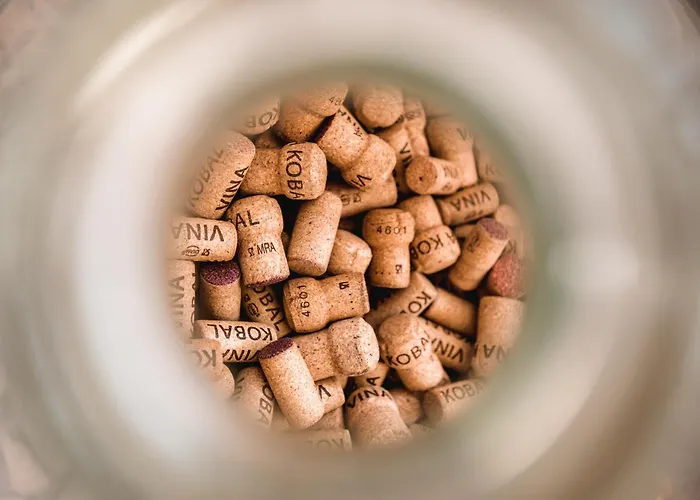 アパート Vina Kobal, Kobal Family Estate Štanjel