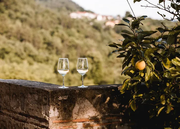 アパート Vina Kobal, Kobal Family Estate Štanjel