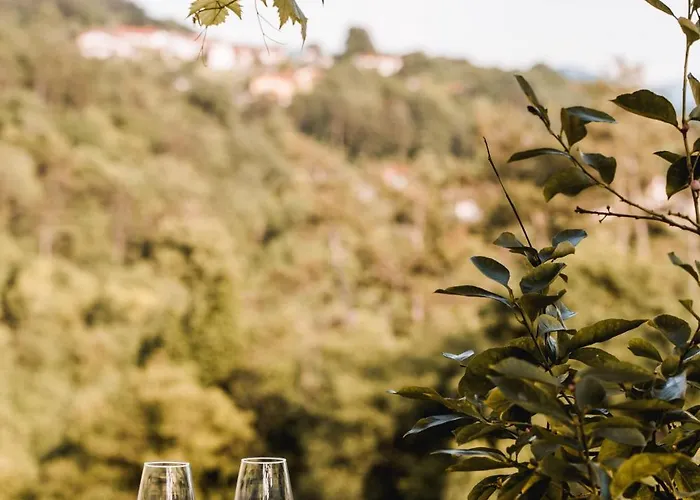 Vina Kobal, Kobal Family Estate * Štanjel