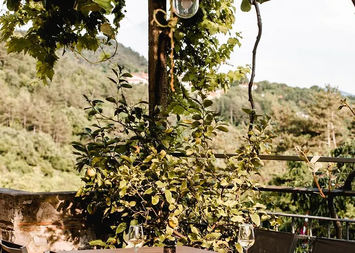 Vina Kobal, Kobal Family Estate